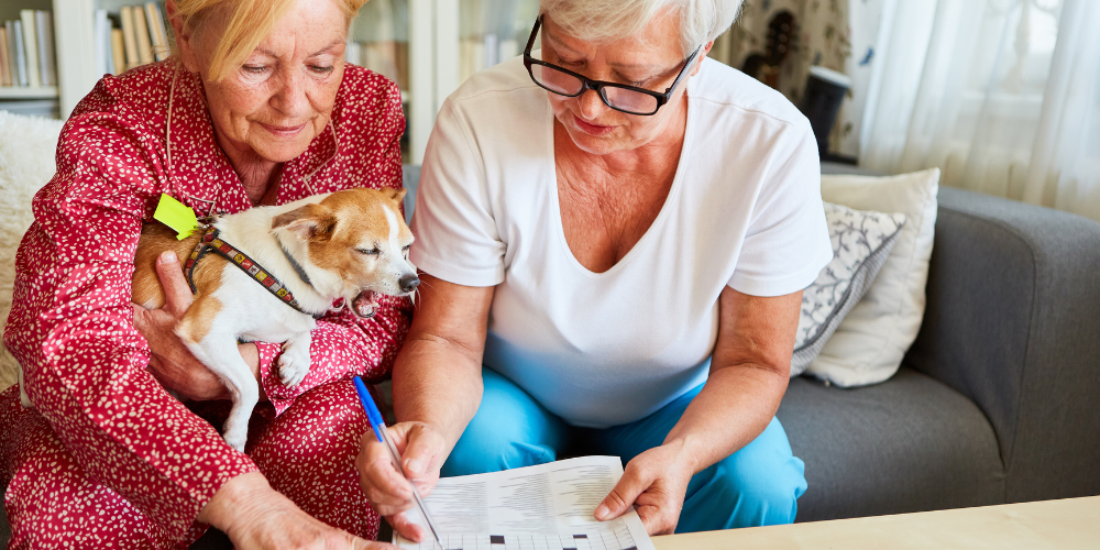 seniors and grandparents love playing puzzles and enjoy puzzle books